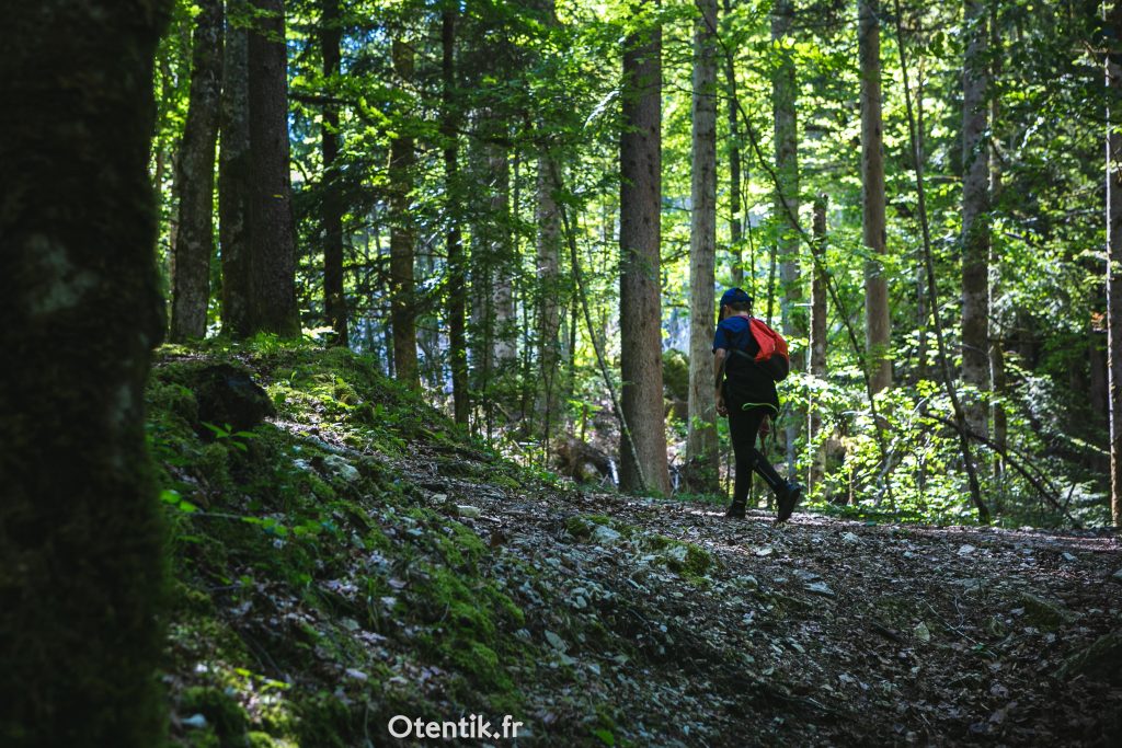 Balade en foret saut du doubs