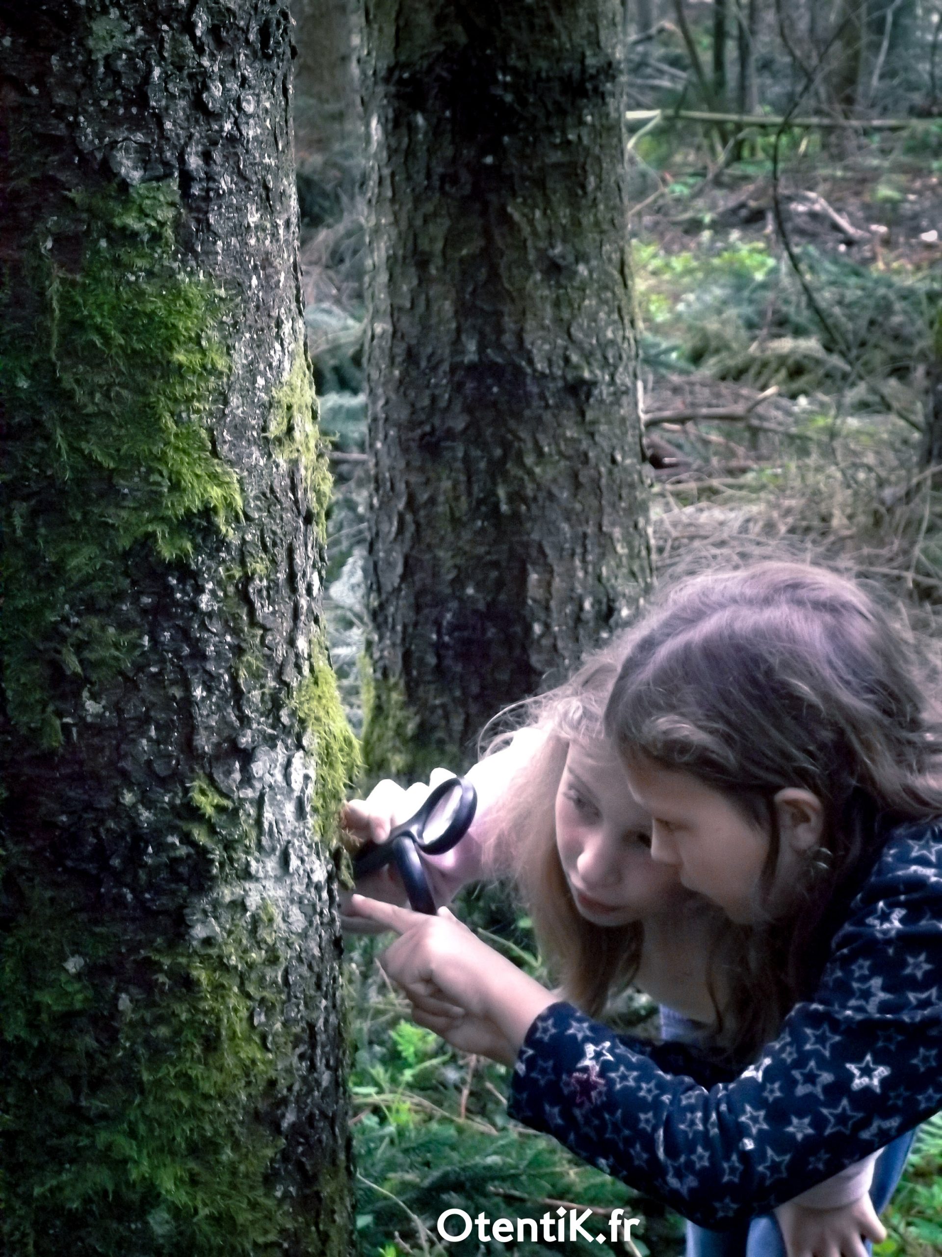 Otentik loupe voyage scolaire foret