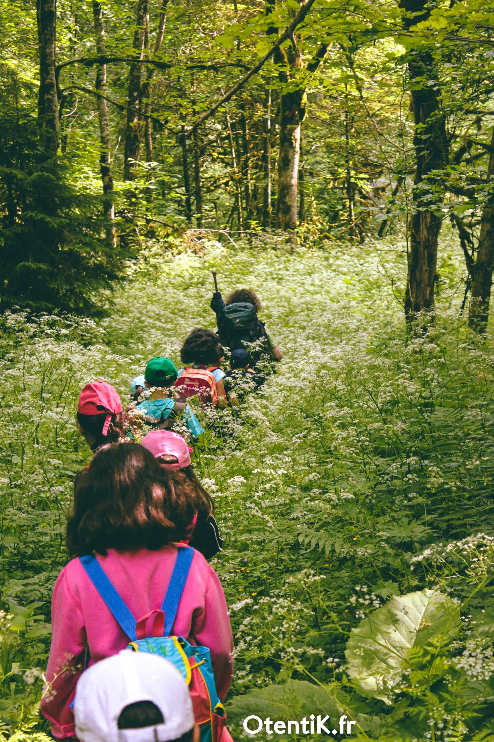 Otentik voyage scolaire balade foret