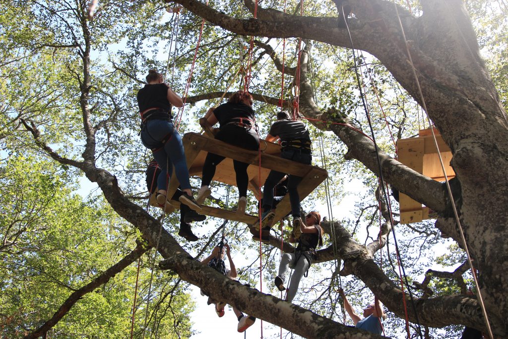 Activité de team building en foret