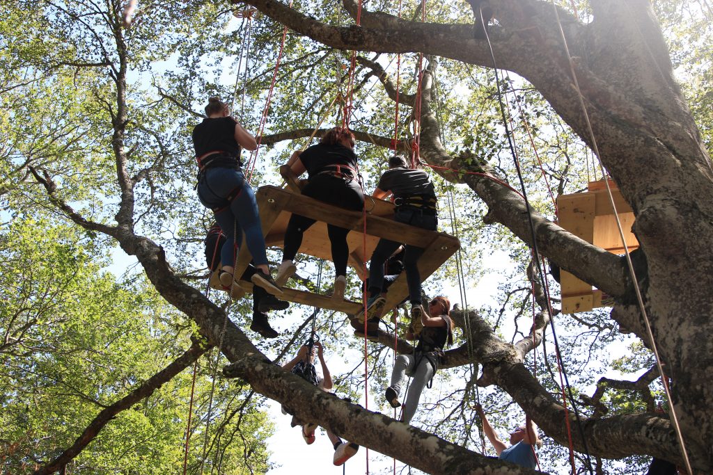 Activité de team building en foret