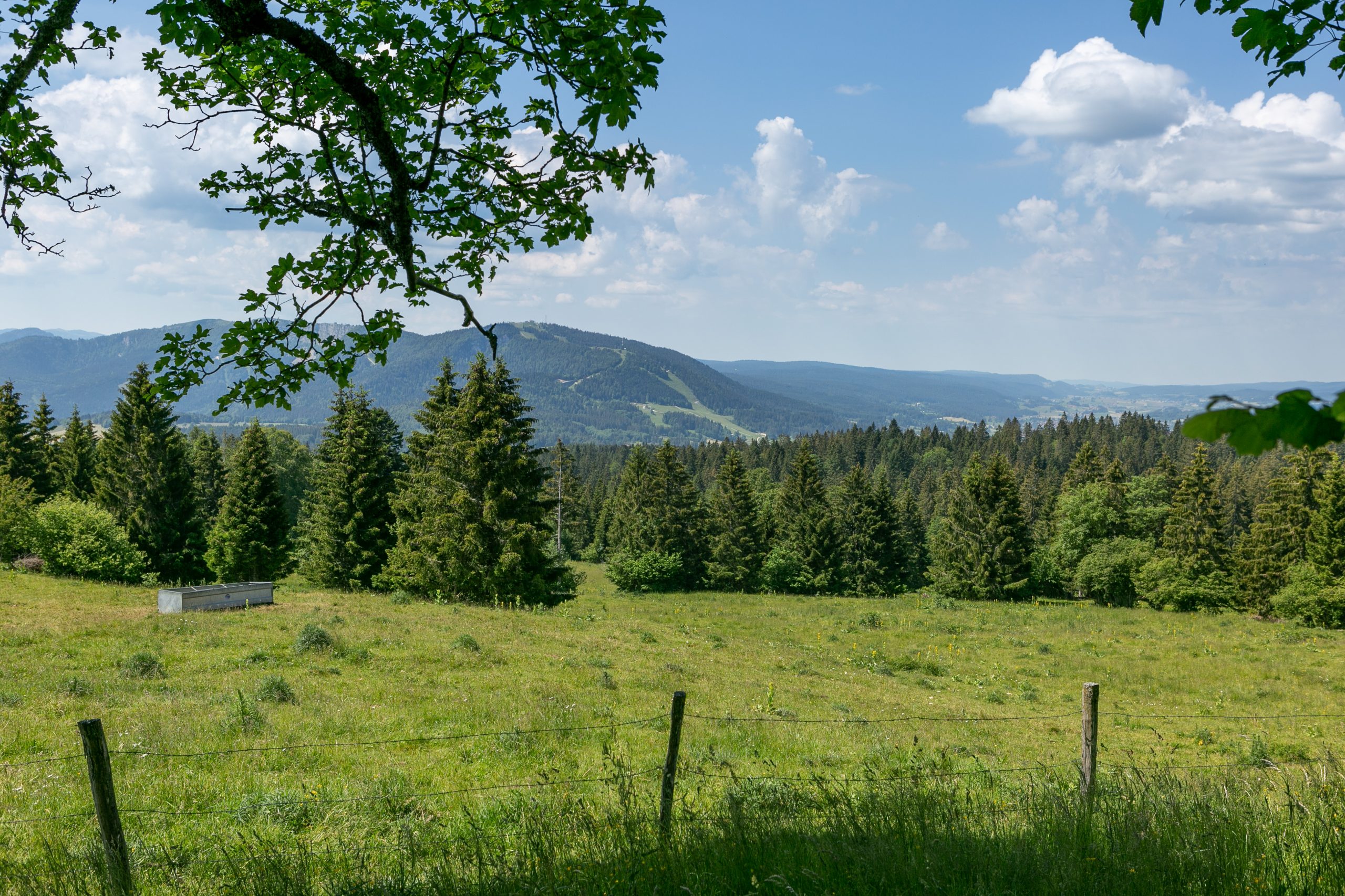 Vu depuis les Alpages Jura