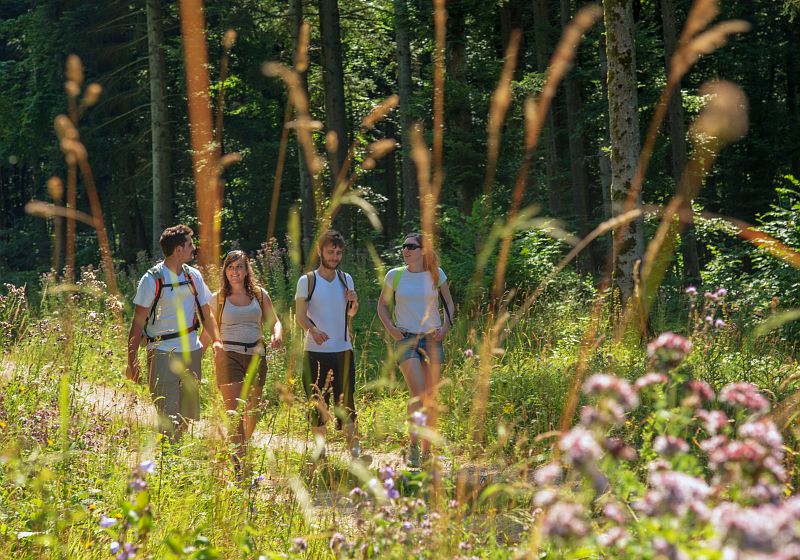 séminaire nature Jura Otentik