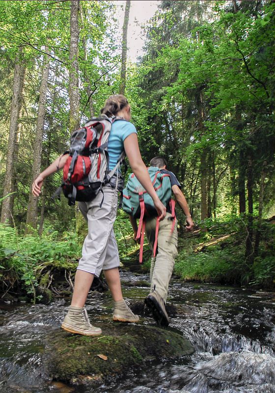 Randonnée en forêt séminaire Bourgogne Franche Comté Otentik