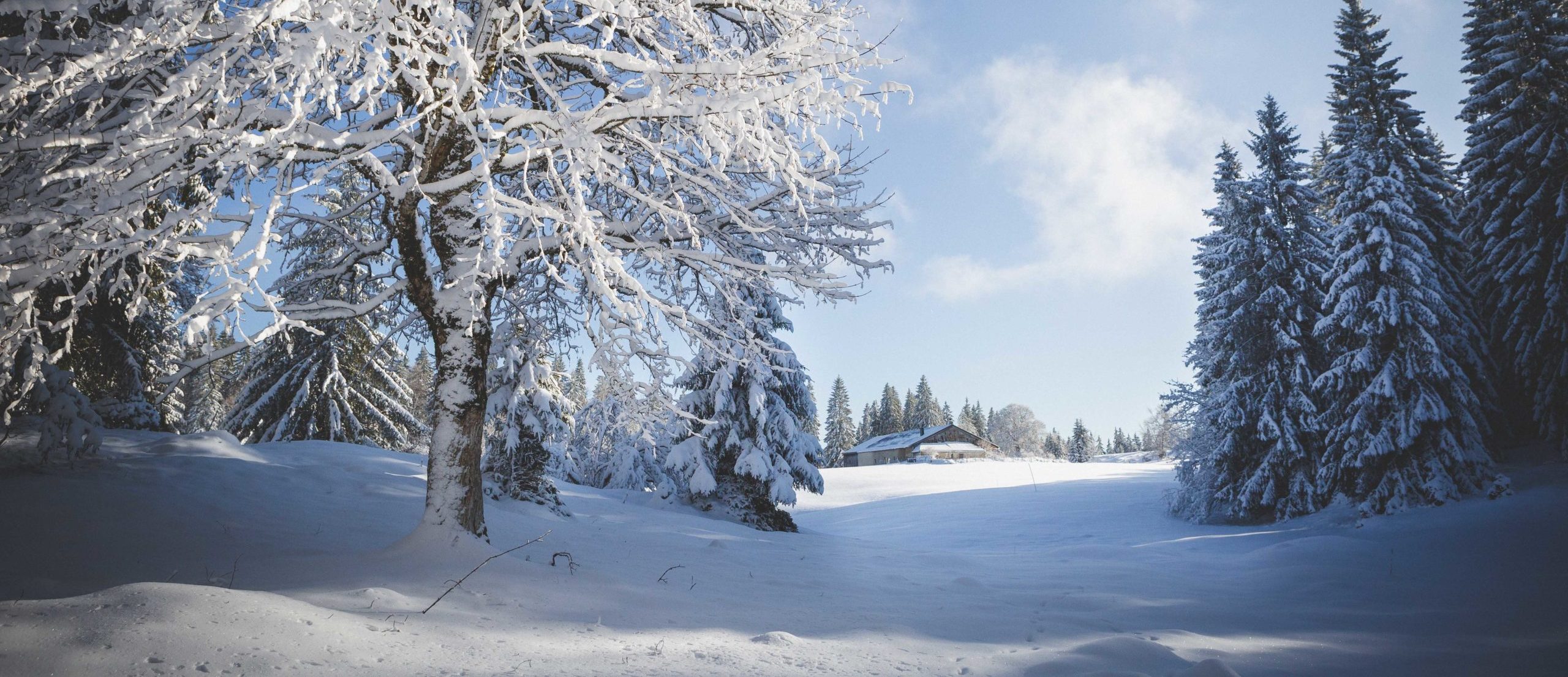 Team building à la montagne Jura