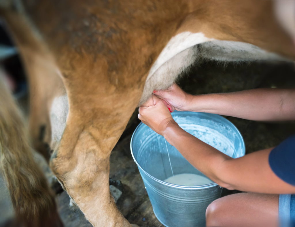 Séminaire à la ferme Doubs Otentik