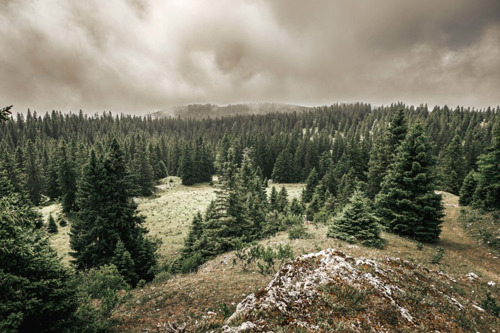 Séminaire Jura Otentik