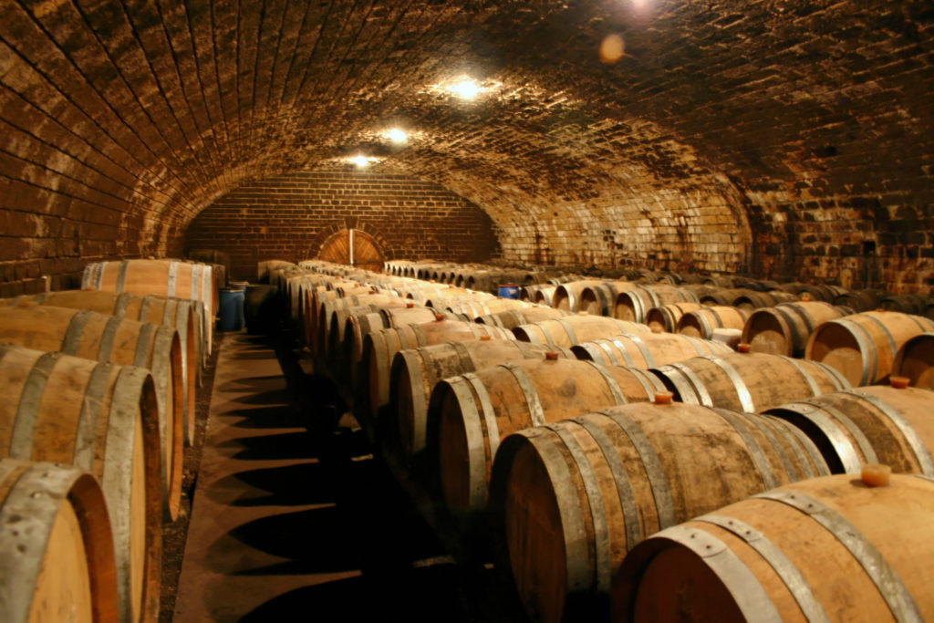 Séminaire vins Jura