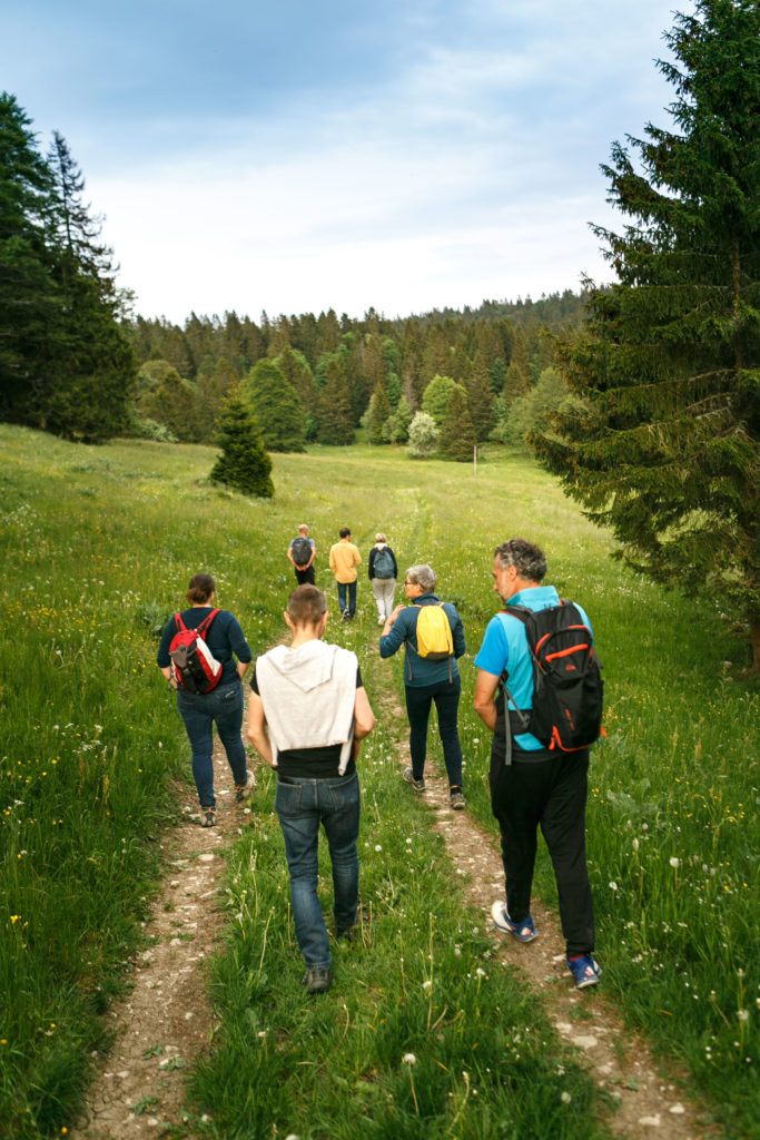 Team building nature Jura