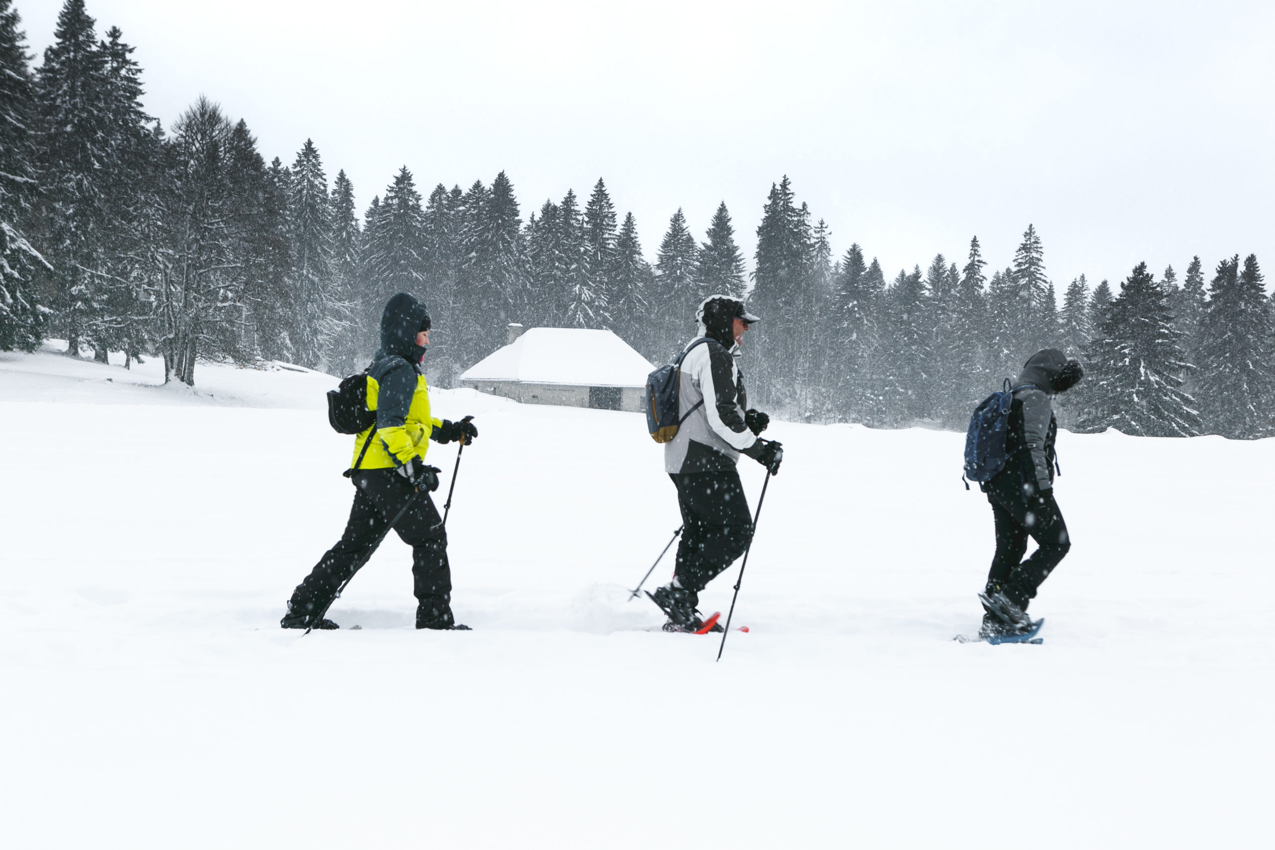 Séminaire à la neige Otentik Jura